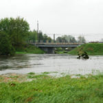 Rzeka Gostynka