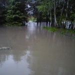 Rzeka Gostynka przedarła się do lasu - 18 maja 2010 // fot. Bartek