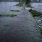 Rzeka Gostynka przedarła się do lasu - 18 maja 2010 // fot. Bartek