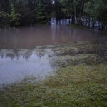Rzeka Gostynka przedarła się do lasu - 18 maja 2010 // fot. Bartek