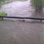 Skutki obfitych opadów deszczu w Gostyni // fot. Piotr