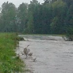 Skutki obfitych opadów deszczu w Gostyni // fot. Piotr