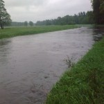 Skutki obfitych opadów deszczu w Gostyni // fot. Piotr