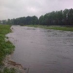Skutki obfitych opadów deszczu w Gostyni // fot. Piotr