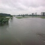 Skutki obfitych opadów deszczu w Gostyni // fot. Piotr