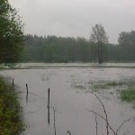 Skutki obfitych opadów deszczu w Gostyni // fot. Piotr