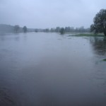 Zalane łąki wokół cmentarza - 18 kwietnia 2010 // fot. Bartek