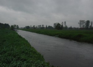 Zwiększa się poziom wody w Gostynce